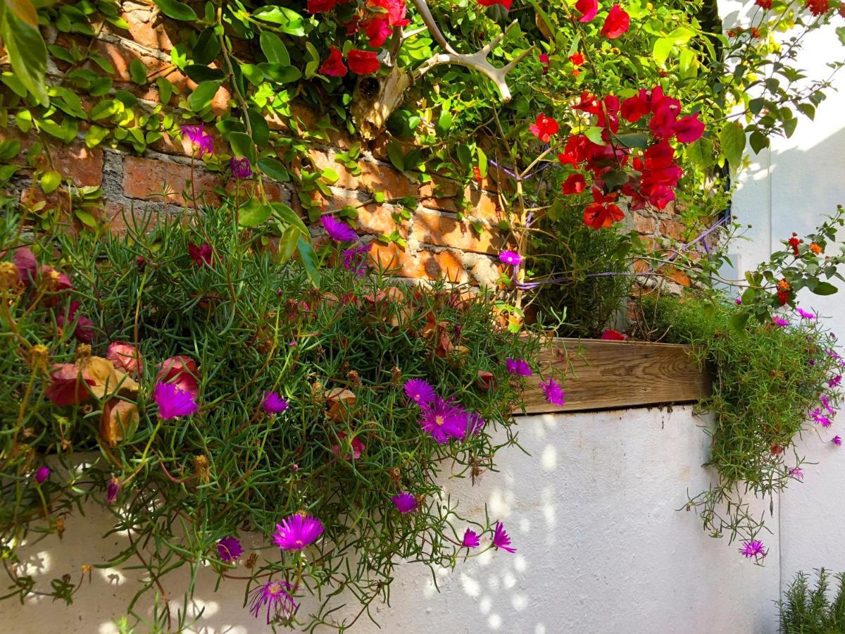 הוסטל סאן מיגל דה אלנדה Casa Chuparrosa מראה חיצוני תמונה
