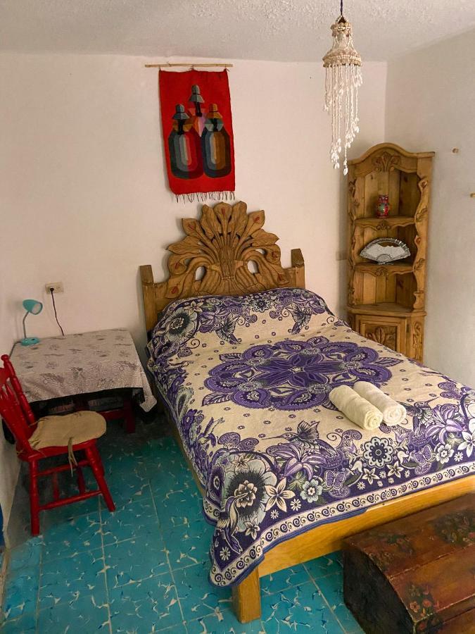 הוסטל סאן מיגל דה אלנדה Casa Chuparrosa מראה חיצוני תמונה