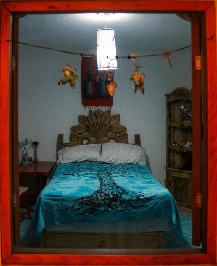 הוסטל סאן מיגל דה אלנדה Casa Chuparrosa מראה חיצוני תמונה